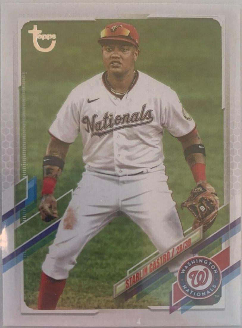 Starlin Castro [Vintage Stock] #453