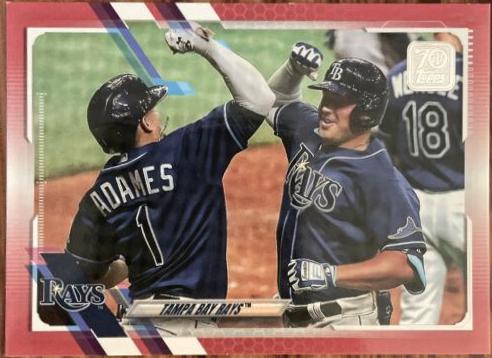 Tampa Bay Rays [Mother's Day Pink] #222