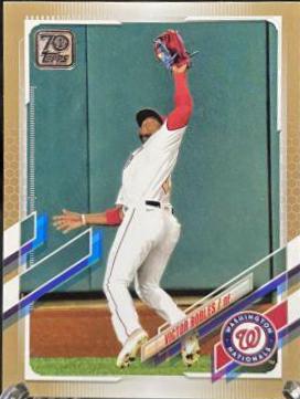 Victor Robles [Gold] #343