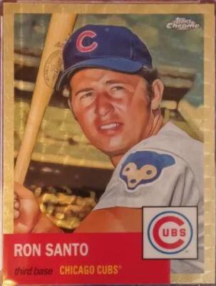 Ron Santo [SuperFractor] #264