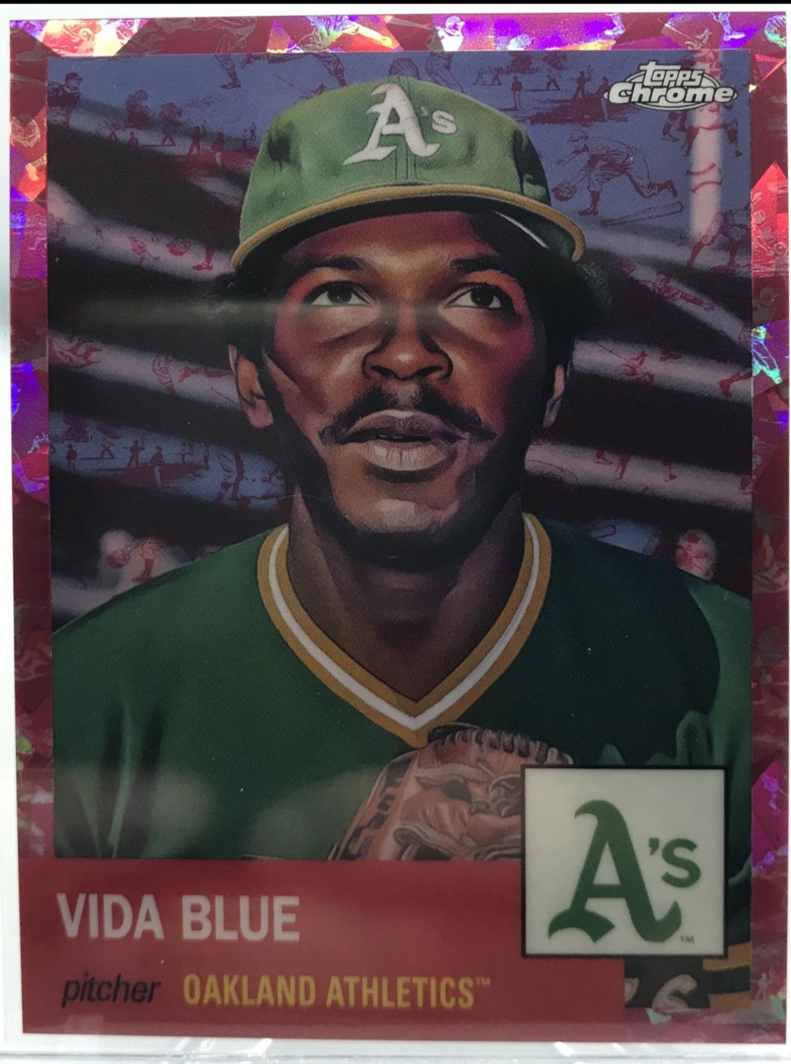 Vida Blue [Toile Cream Fuchsia Atomic] #333