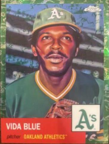 Vida Blue [Toile White Green] #333