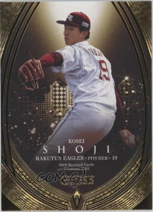 Kosei Shoji #31