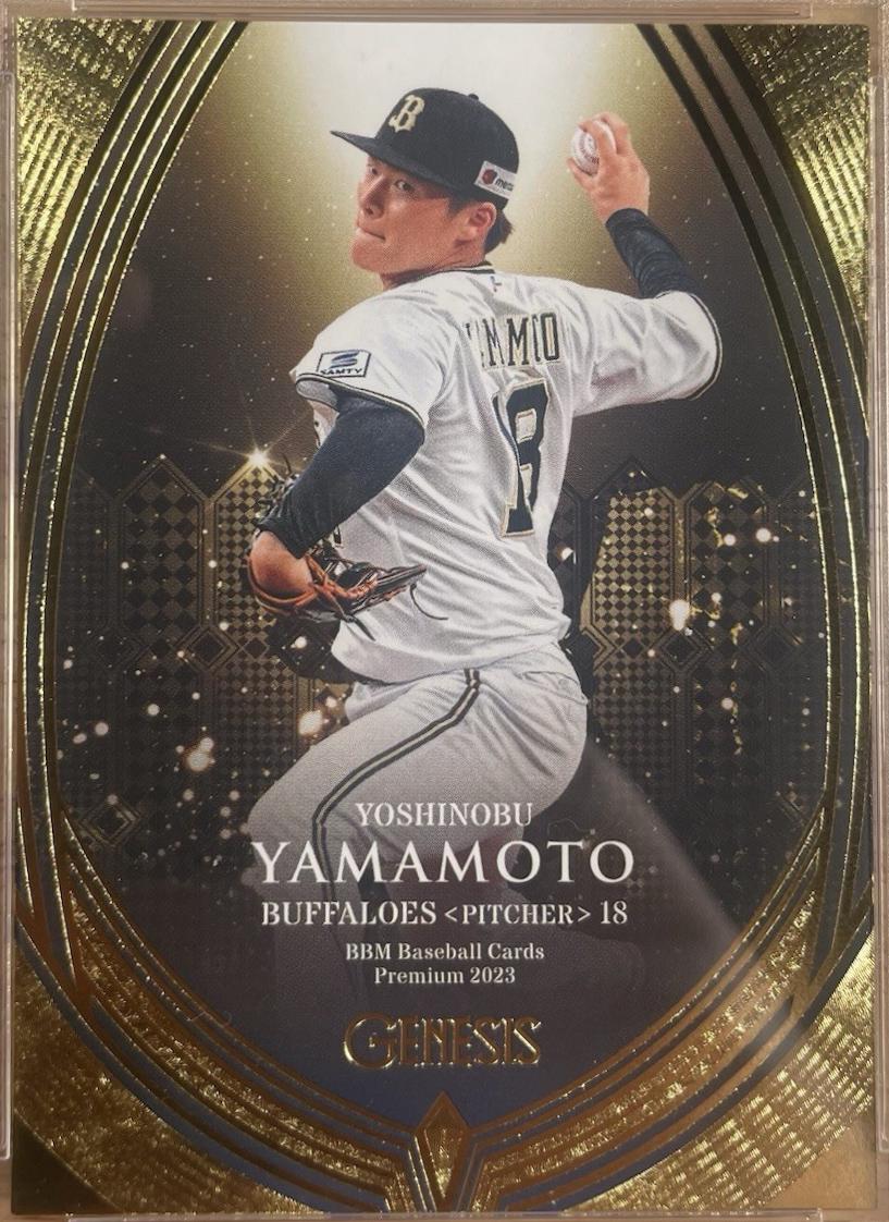 Yoshinobu Yamamoto #3