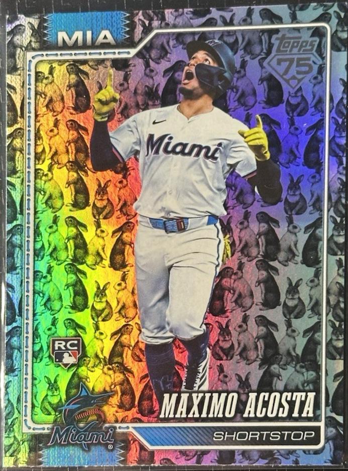 Maximo Acosta [Holiday Rabbits] #172
