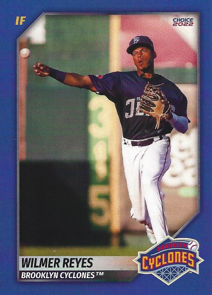 Wilmer Reyes #22