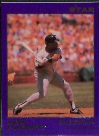 Kirby Puckett [All Star Stats] #165