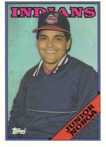 Junior Noboa #503