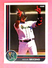 Miguel Briceno #04