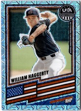 William Haggerty #110