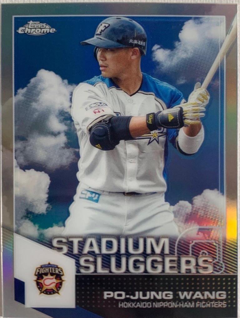 Po-Jung Wang [Holo-Refractor] #SL-16