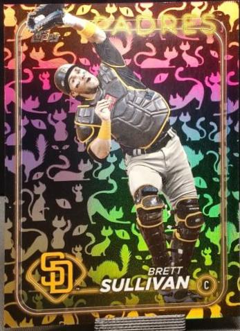 Brett Sullivan [Black Cat] #US34
