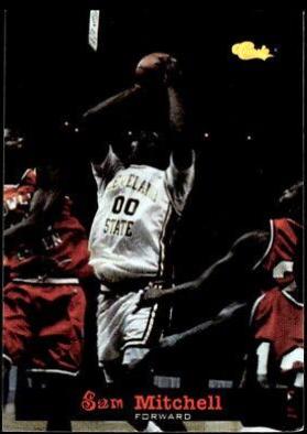 Sam Mitchell #80