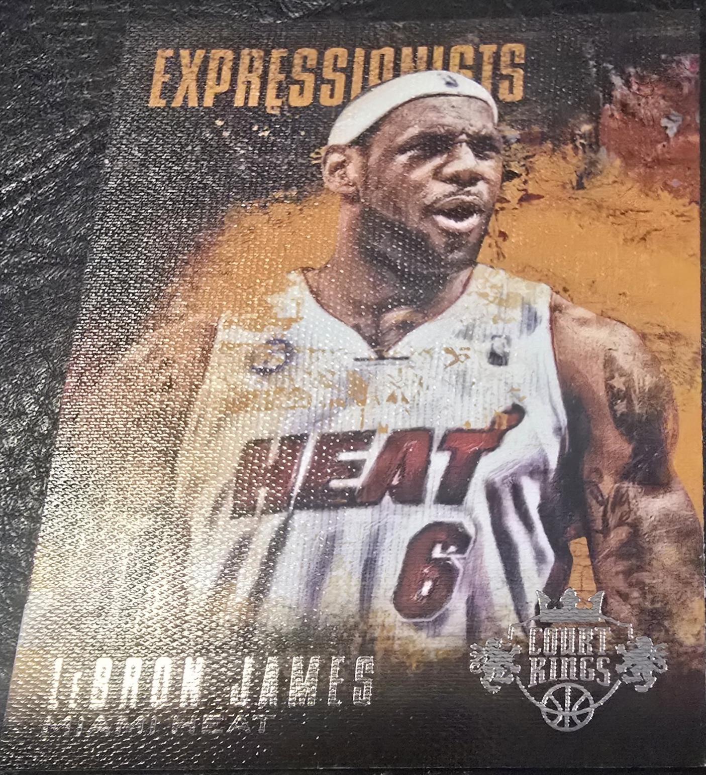 LeBron James #1