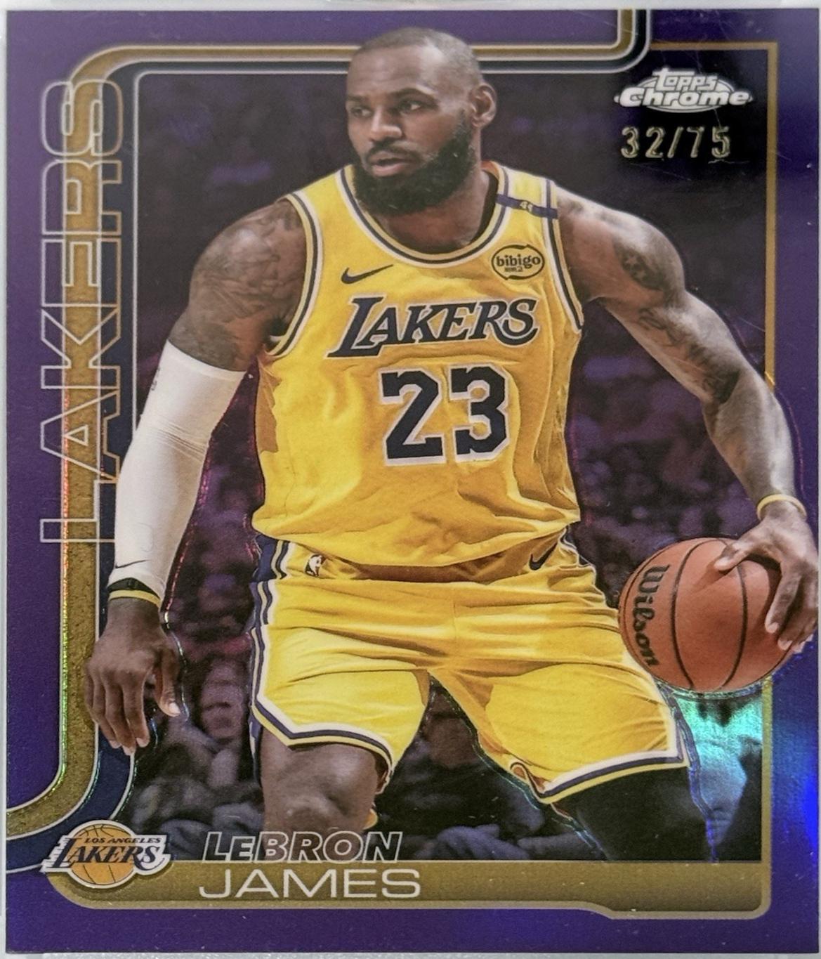 LeBron James [Purple Basketball Refractor] #127