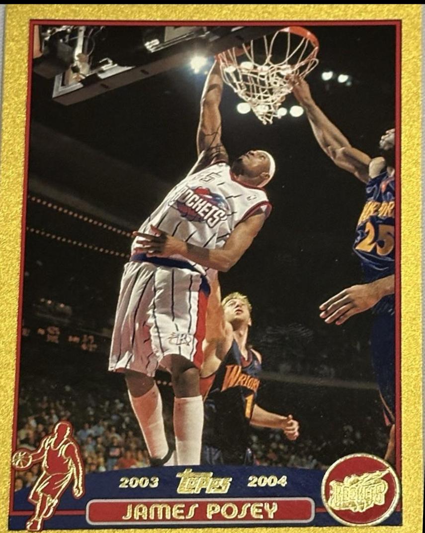 James Posey [Gold] #181