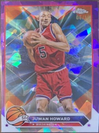 Juwan Howard [Purple Sapphire] #101
