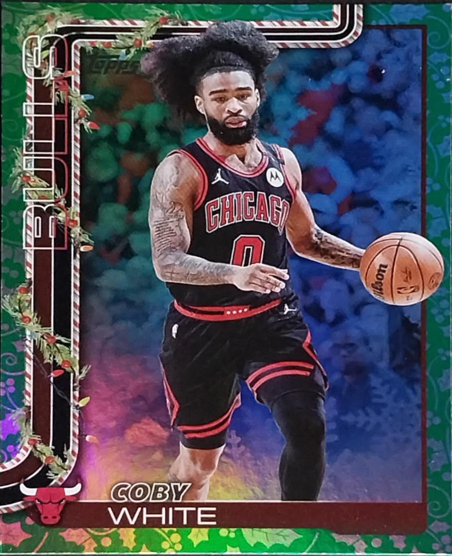 Coby White [Stocking Stuffer Metallic Stocking SSP] #H27