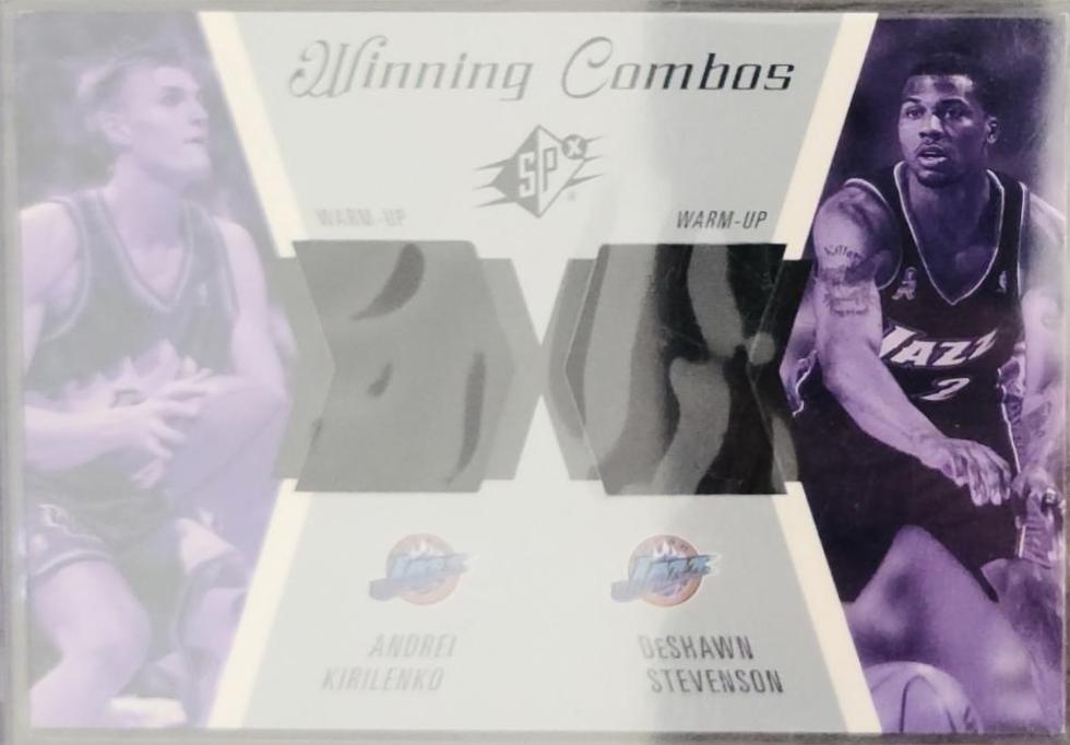 Andrei Kirilenko/DeShawn Stevenson #WC35