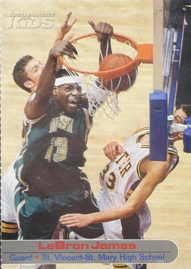 LeBron James #264