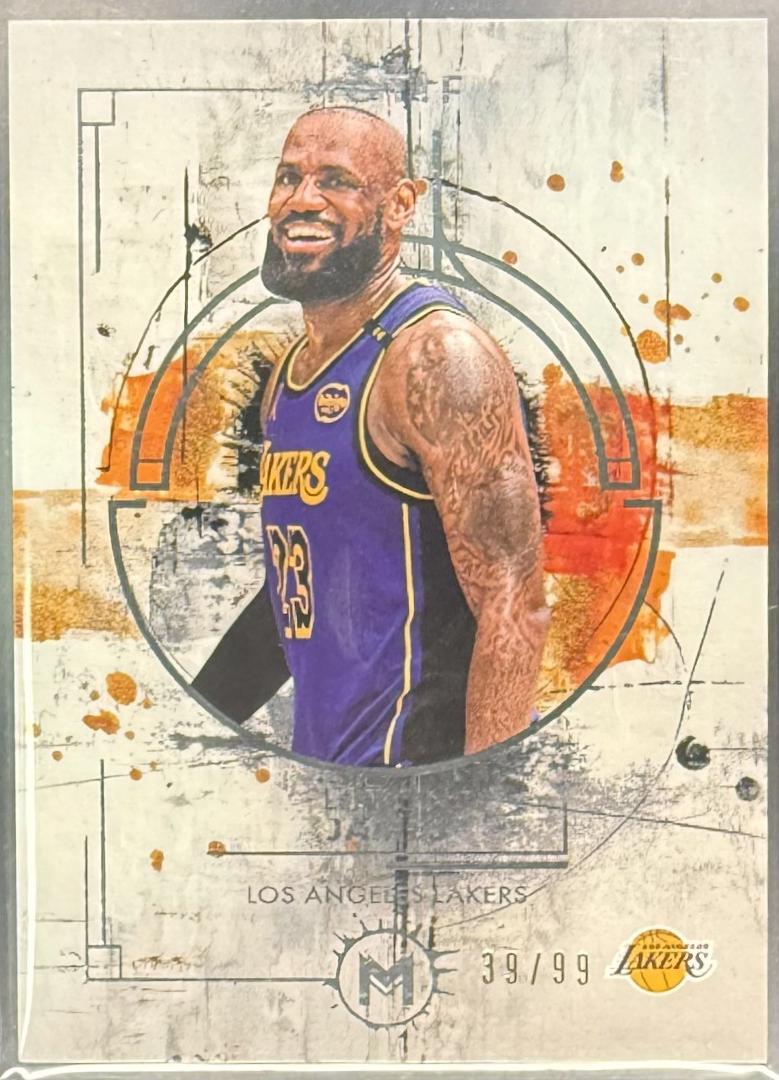 LeBron James #30
