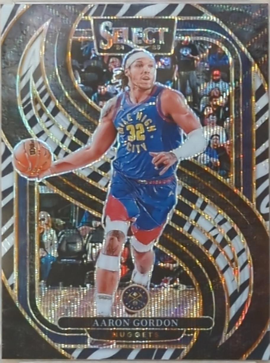 Aaron Gordon [Zebra Prizm] #142