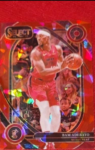 Bam Adebayo [Red Cracked Ice Prizm] #221