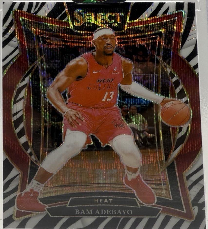 Bam Adebayo [Zebra Prizm] #163