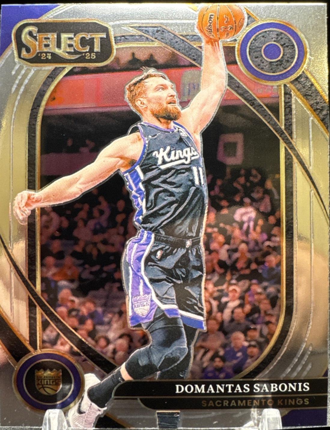Domantas Sabonis #253