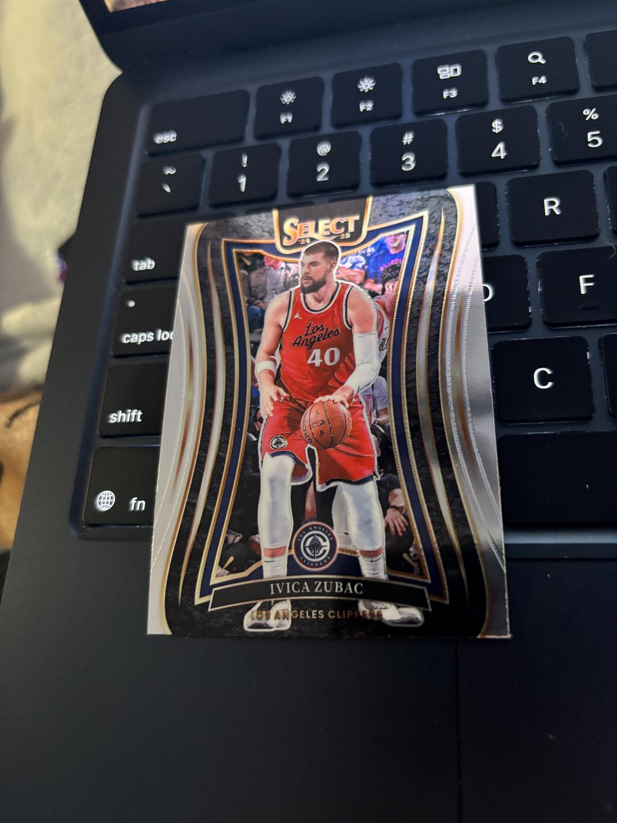 Ivica Zubac #349