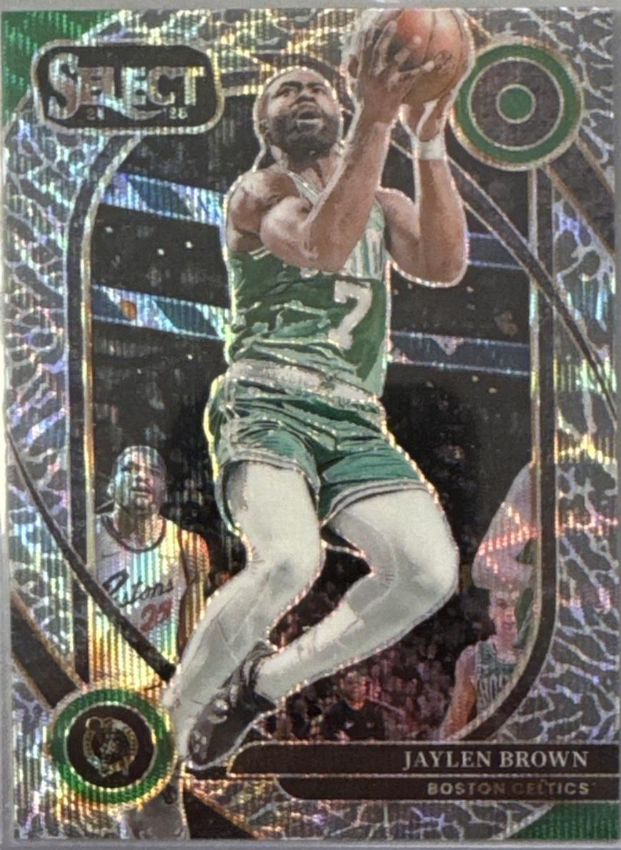 Jaylen Brown [Elephant Prizm] #254