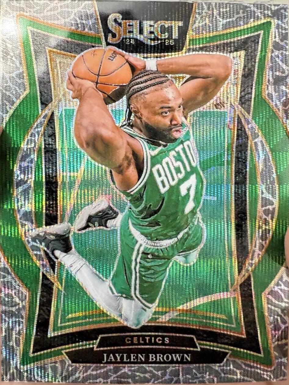 Jaylen Brown [Elephant Prizm] #29
