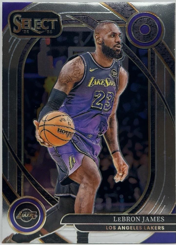 LeBron James #241