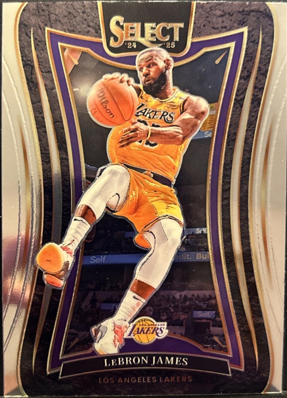 LeBron James #310