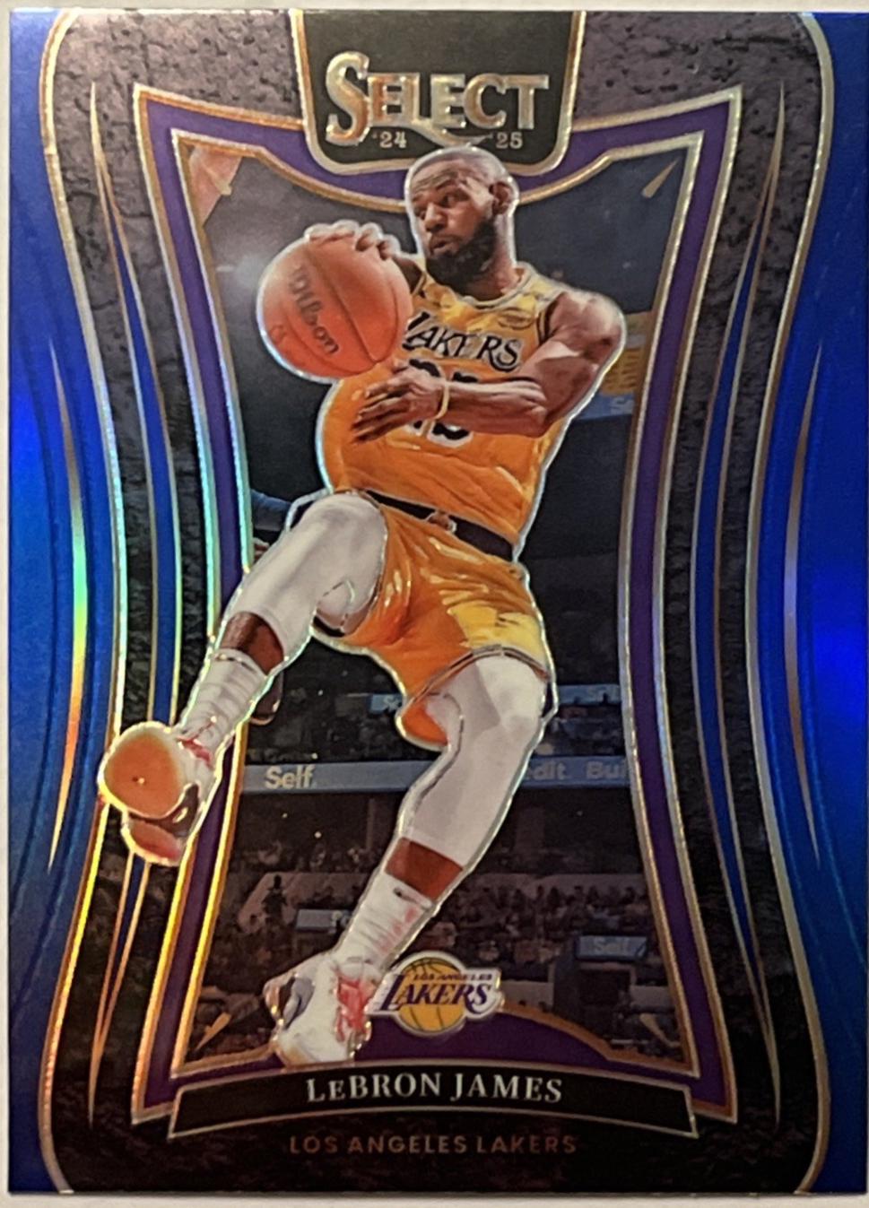 LeBron James [Blue Prizm] #310