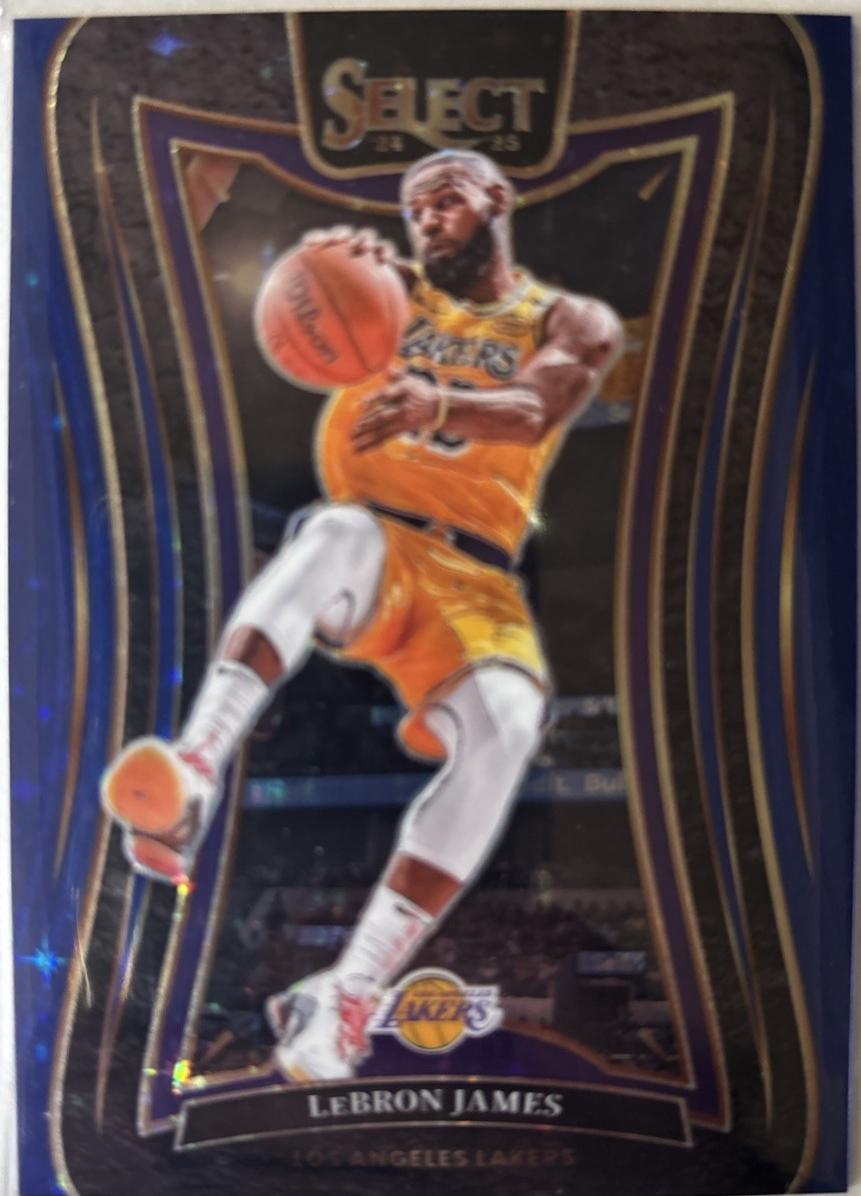 LeBron James [Blue Stars Prizm] #310