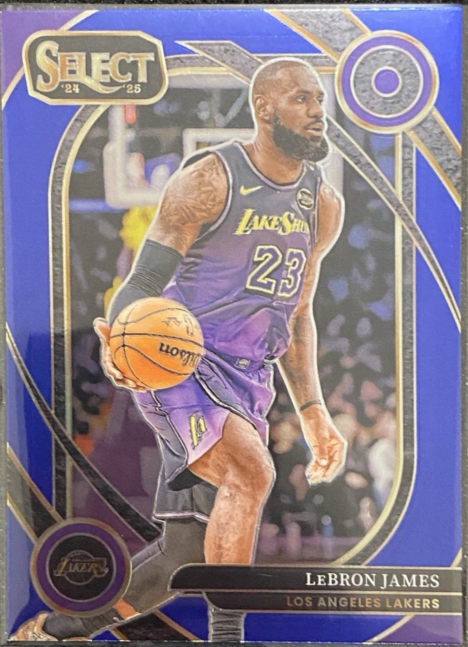 LeBron James [Blue] #241