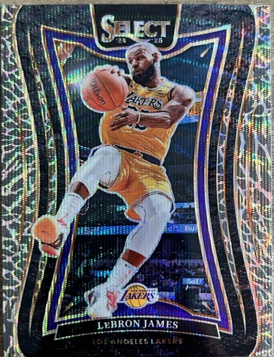 LeBron James [Elephant Prizm] #310