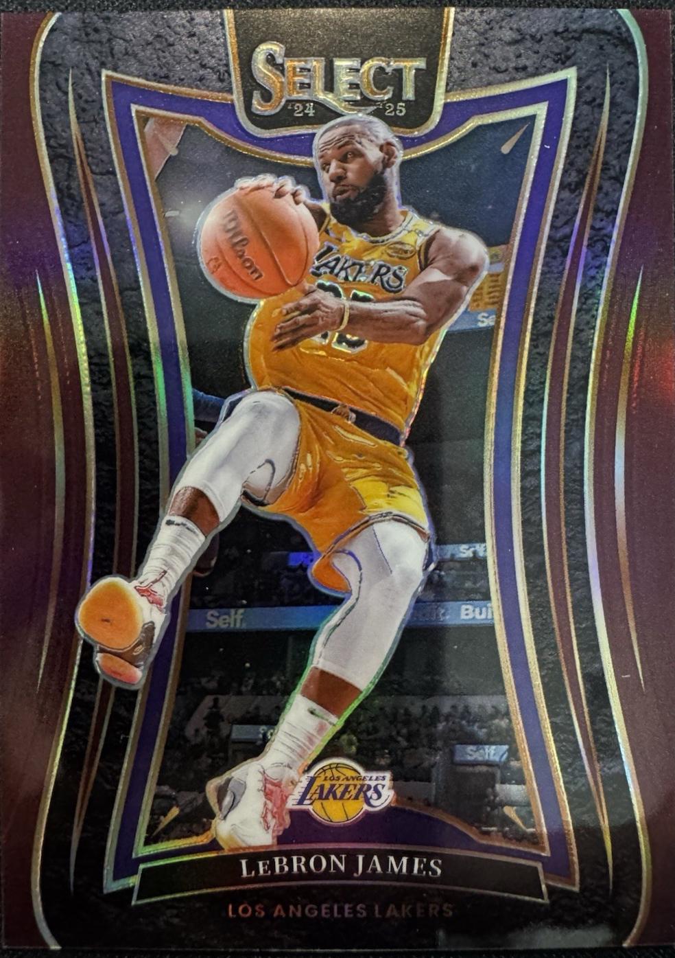 LeBron James [Maroon Prizm] #310