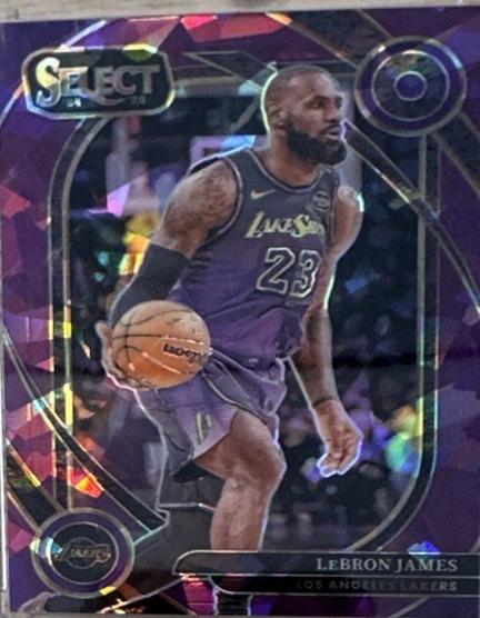 LeBron James [Purple Cracked Ice Prizm] #241
