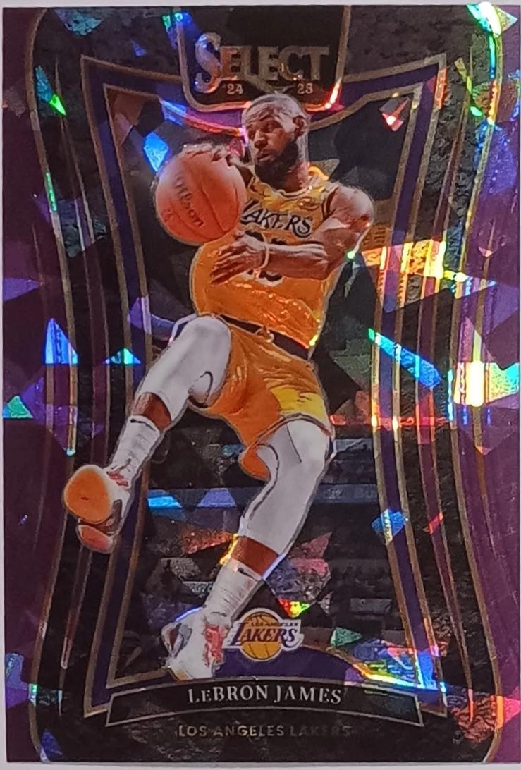 LeBron James [Purple Cracked Ice Prizm] #310