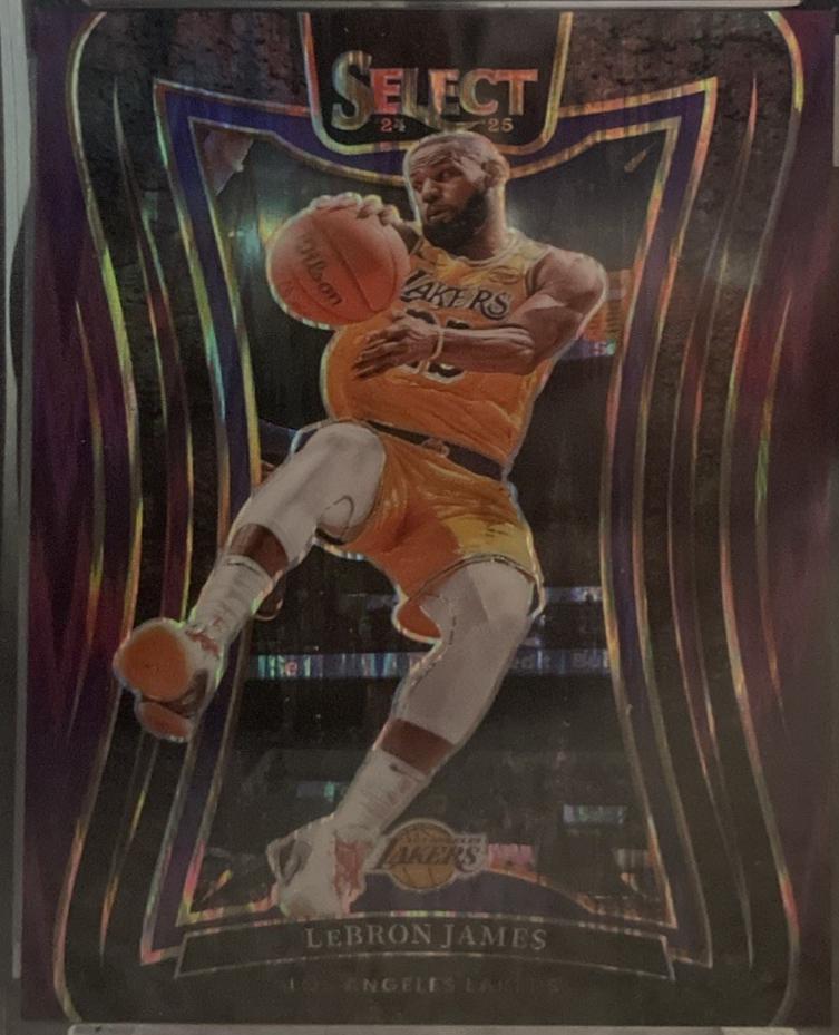 LeBron James [Purple Flash Prizm] #310