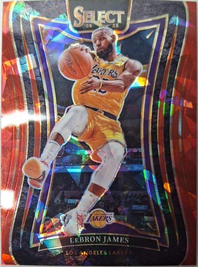 LeBron James [Red Cracked Ice Prizm] #310