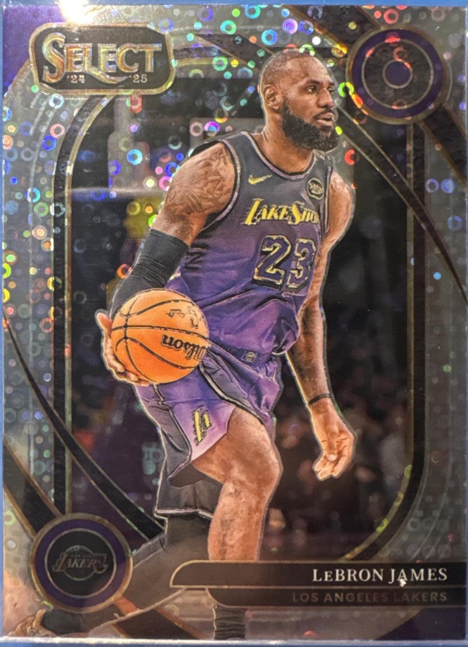 LeBron James [Silver Prizm] #241