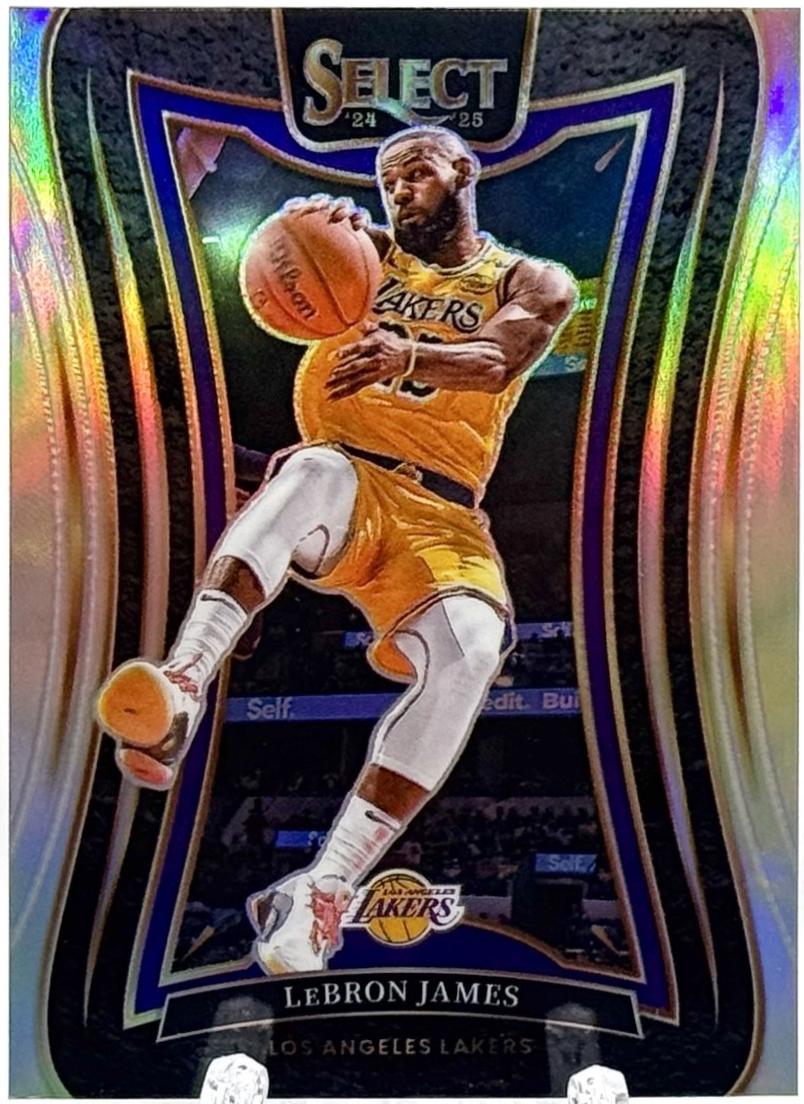 LeBron James [Silver Prizm] #310