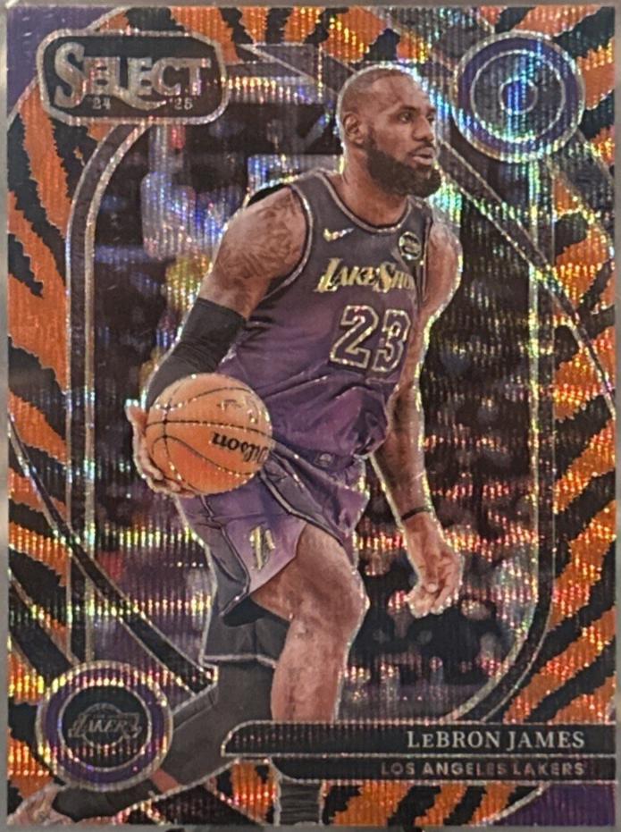 LeBron James [Tiger Prizm] #241