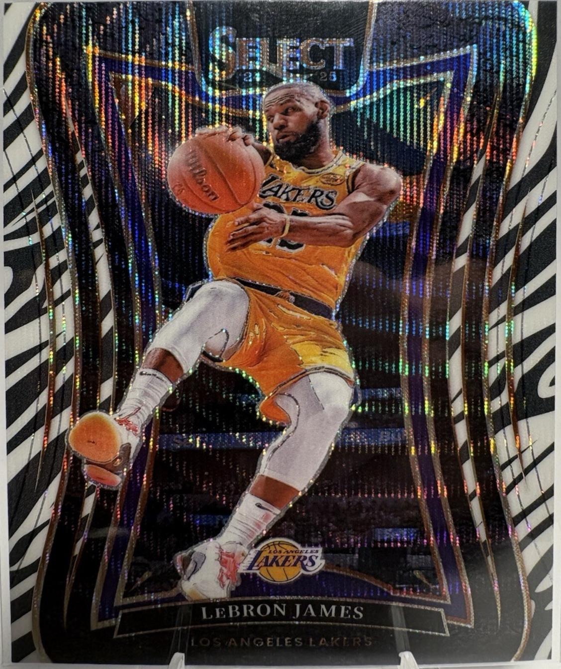 LeBron James [Zebra Prizm] #310