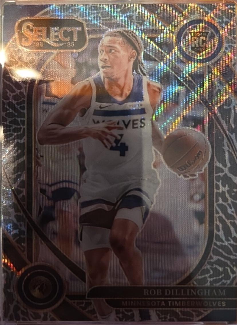 Rob Dillingham [Elephant Prizm] #288