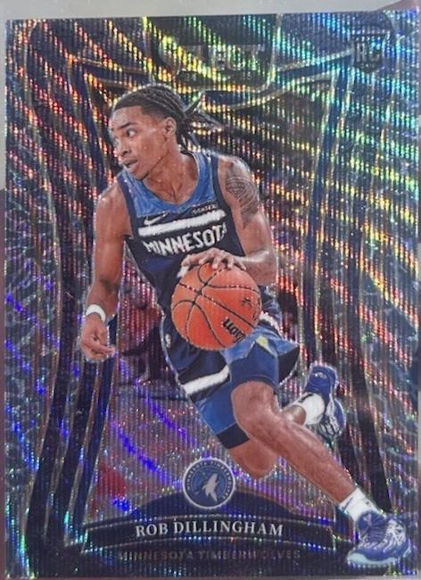 Rob Dillingham [Elephant Prizm] #392