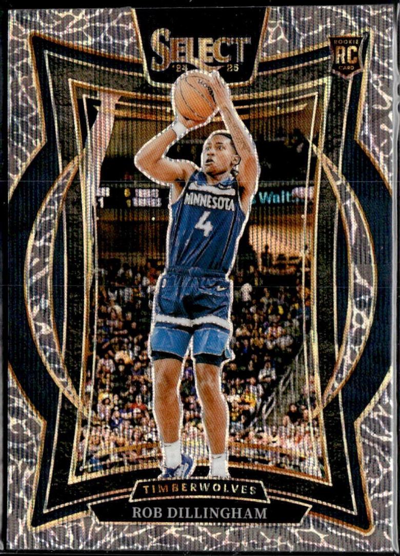 Rob Dillingham [Elephant Prizm] #84